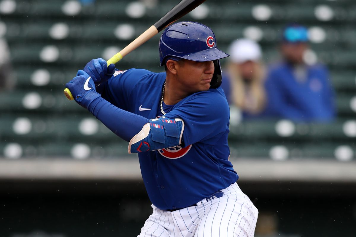 Chicago Cubs Minor League Wrap: September    chicago cubs mlb jersey years   10 Miguel Amaya