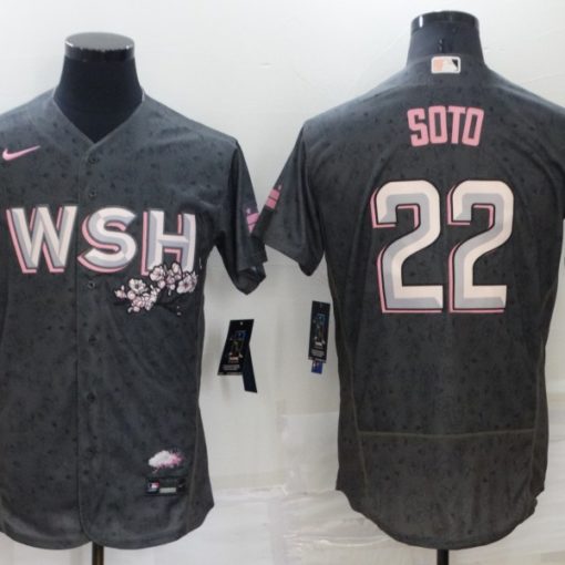 Men's Washington Nationals Juan Soto Nike Gray 2022 City Connect Name &  Number T-Shirt