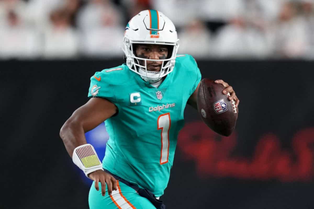 dolphins updates