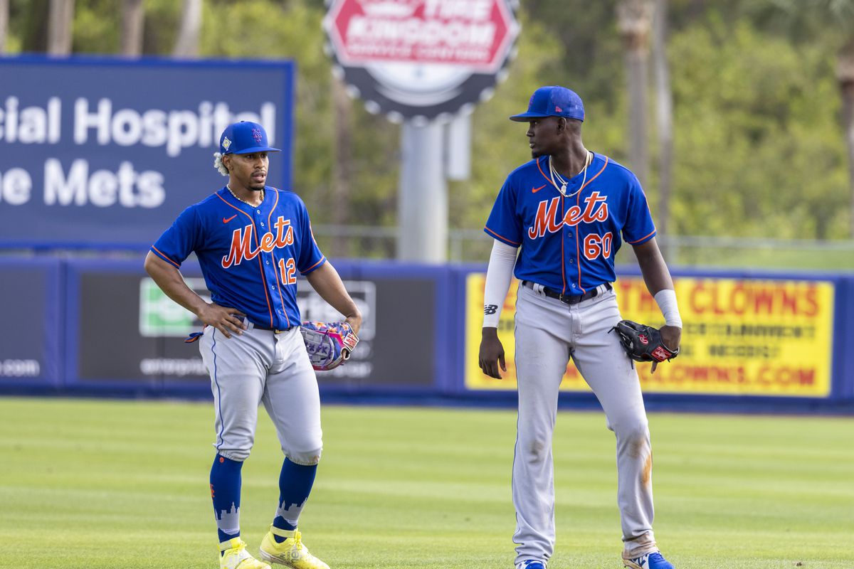 Syracuse Mets - Alternate Jersey